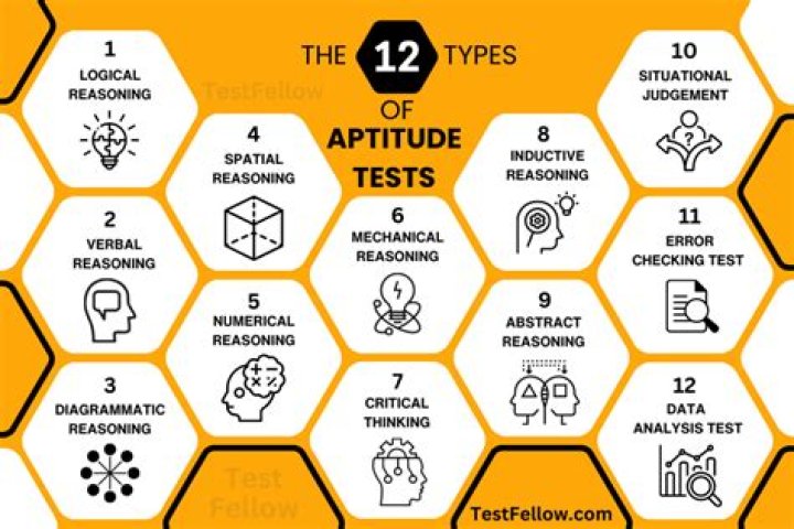 What is an aptitude test for high school students?