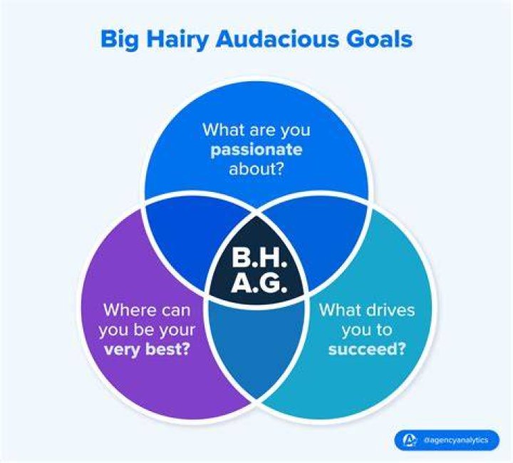 What is an example of a big hairy audacious goal?