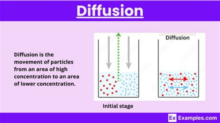 What is an example of diffusion in human geography?