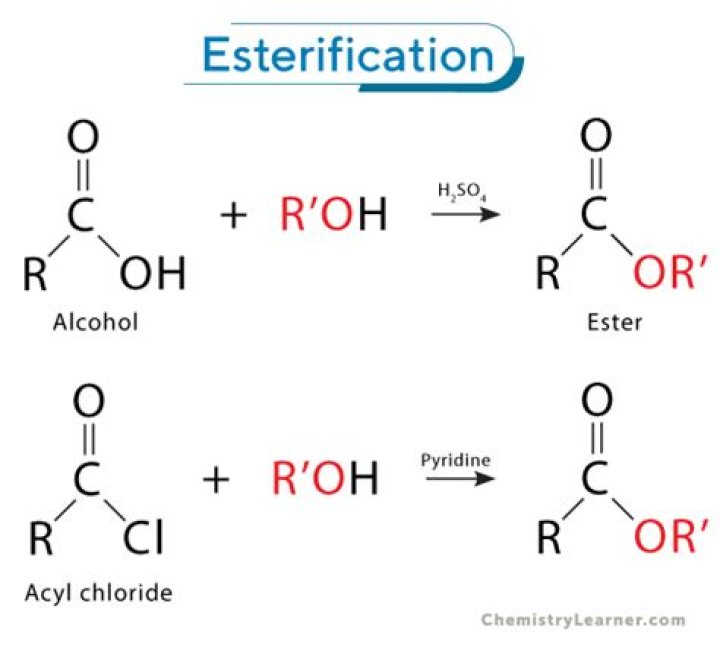 What is an example of esterification?