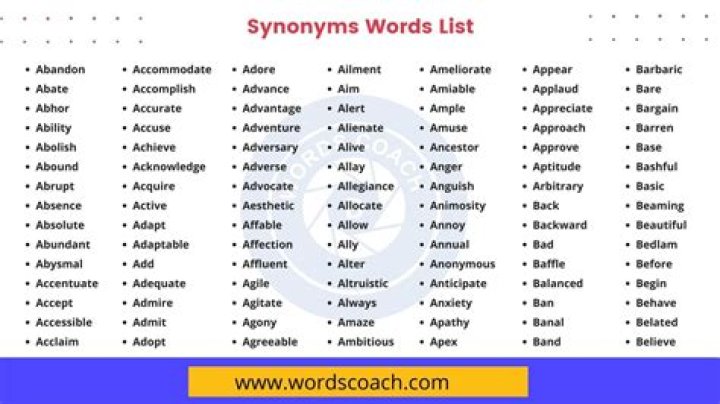 What is another word for chit?