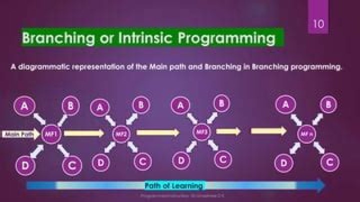 What is branching programmed learning?