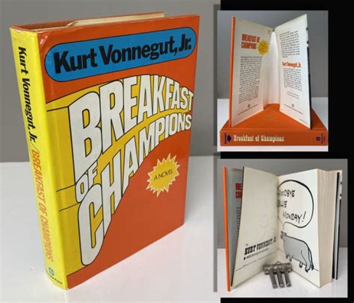 What is Breakfast of Champions by Kurt Vonnegut about?