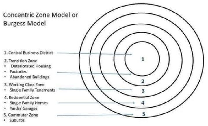 What is Burgess concentric zone theory?