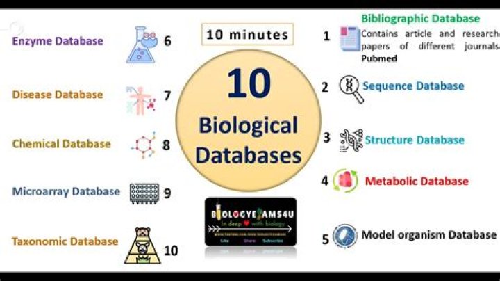 What is derived database in bioinformatics?