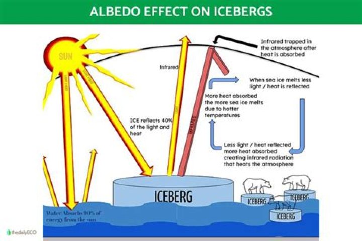 What is diffuse albedo?