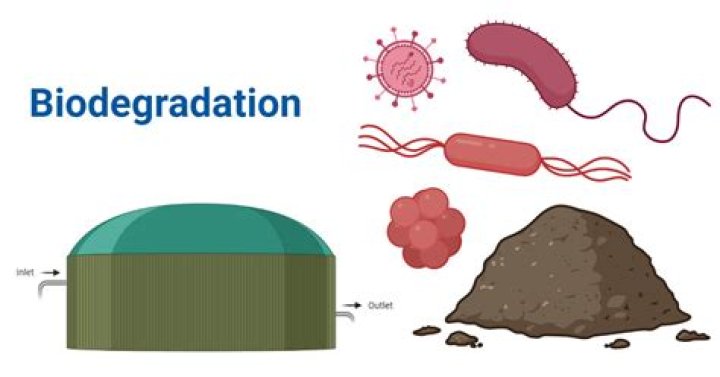 What is fungal biodegradation?