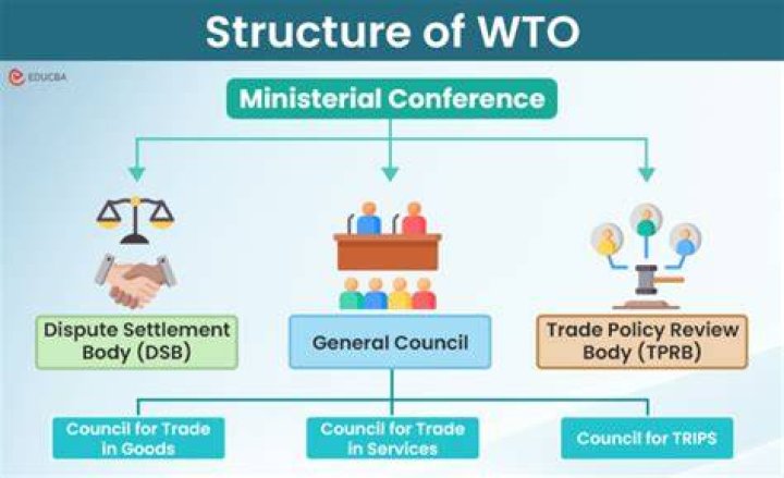 What is General Council in WTO?