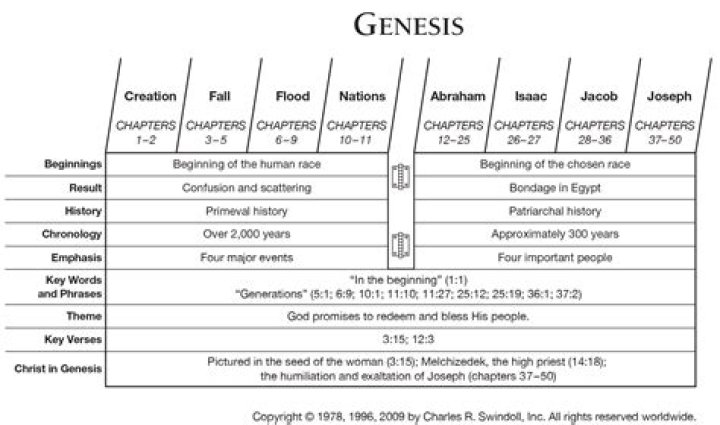 What is Genesis chapter 6 all about?