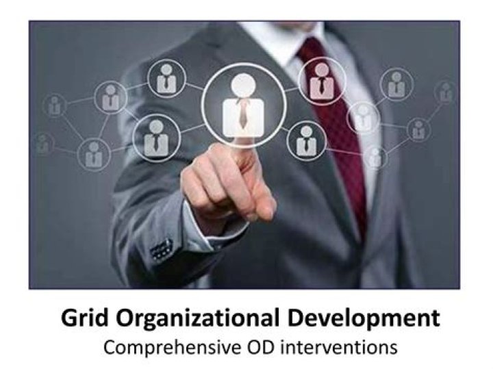 What is grid organizational development?