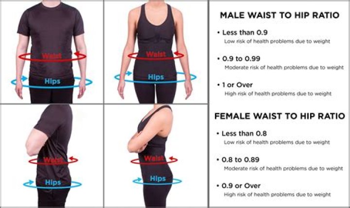 What is ideal bust waist hip ratio?