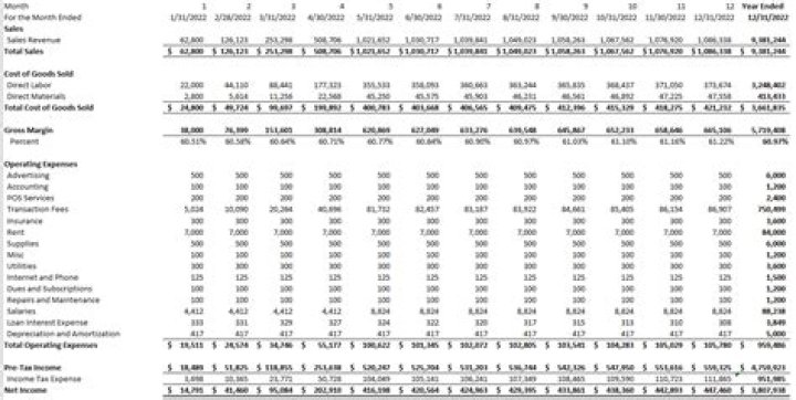 What is included in a pro forma budget?