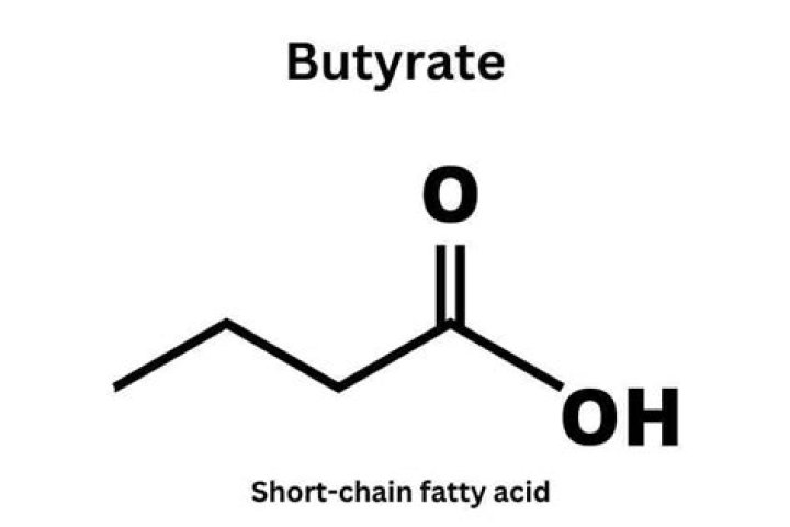 What is methyl butyrate used for?