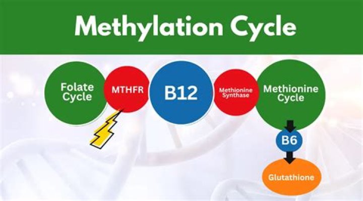 What is methylation beta value?