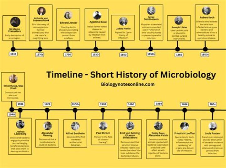 What is microhistory and how did it develop?