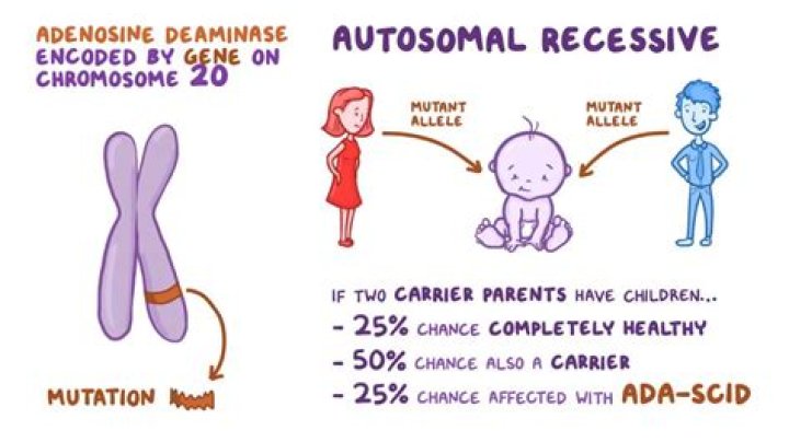 What is myoadenylate deaminase deficiency?