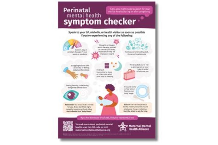 What is perinatal?