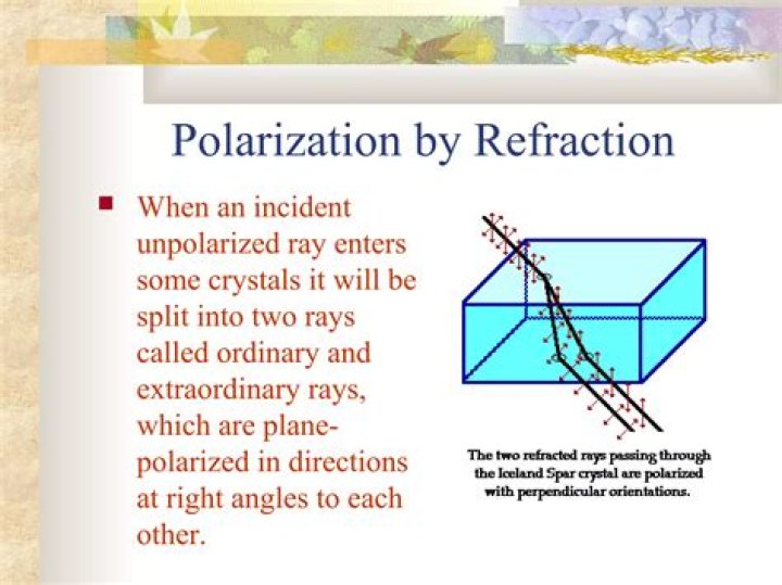 What is plane polarization physics?