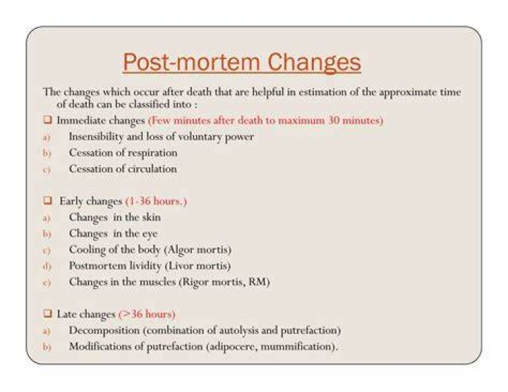 What is post mortem changes?