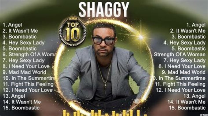 What is Shaggy famous song?
