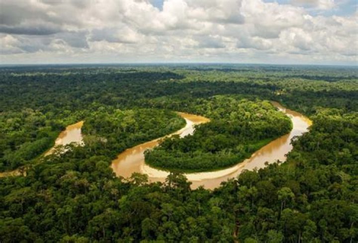 What is special about the Congo rainforest?