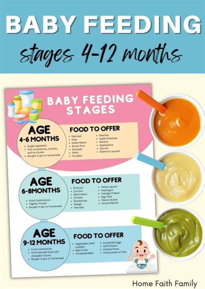 What is Stage 2 in baby food?