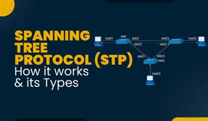 What is STP and how it works?