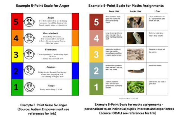 What is the 5-point Behaviour scale?