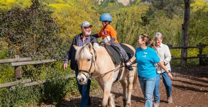 What is the American Hippotherapy Association?