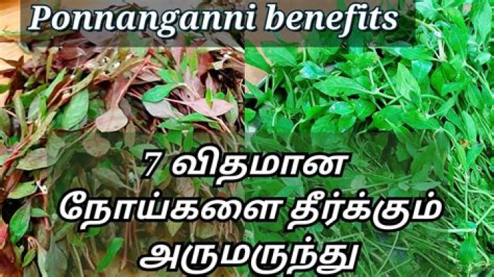 What is the benefits of Ponnanganni Keerai?