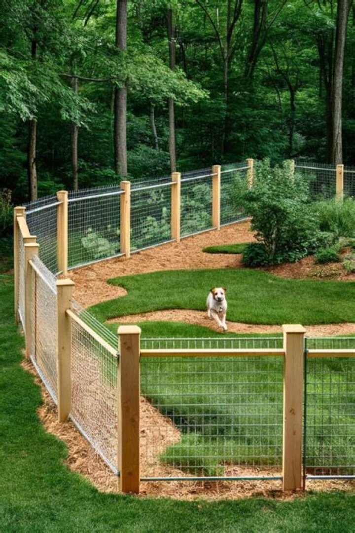 What is the best fencing for a dog?