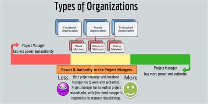 What is the best organizational structure PMP?