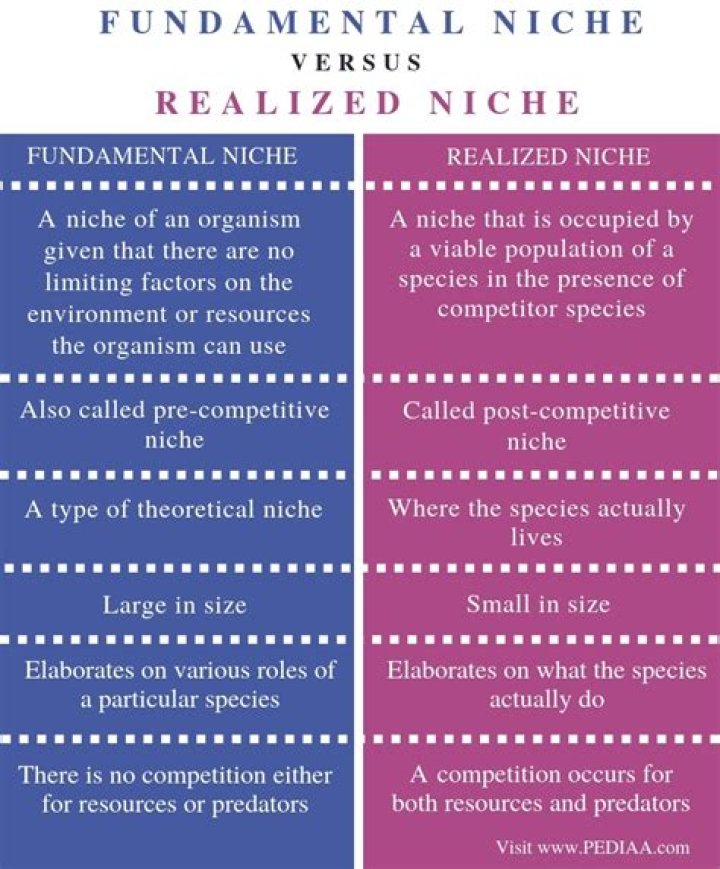 What is the difference between a realized niche and a fundamental niche?