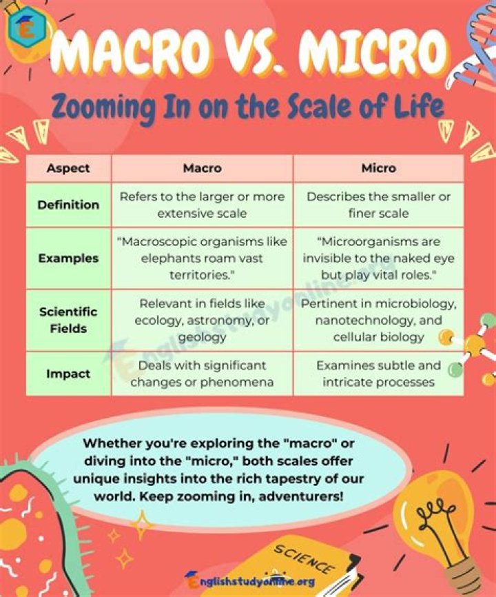 What is the difference between micro and macro analysis?