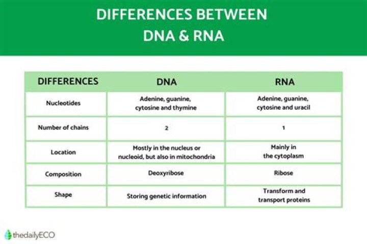 What is the difference between nPCR and nPNA?