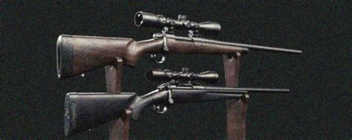 What is the difference between Remington model 700 and 783?