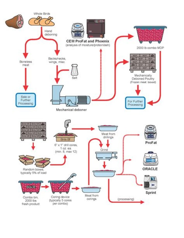 What is the flow of food?