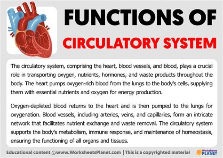What is the function of the Venturi?