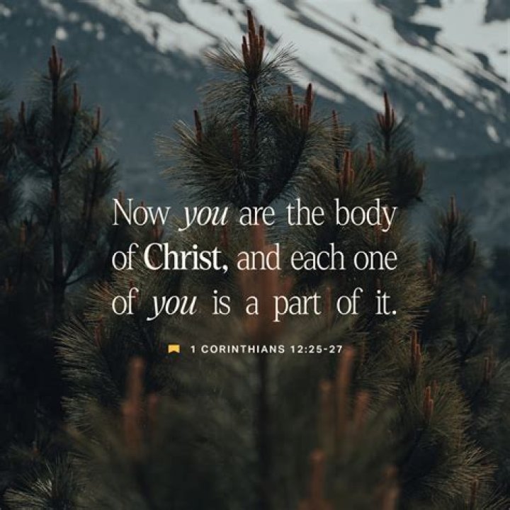 What is the meaning of 1 Corinthians 12?