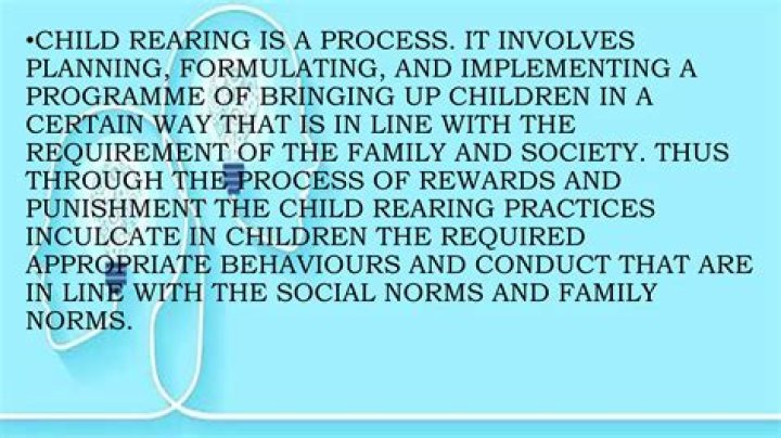 What is the meaning of child rearing practices?