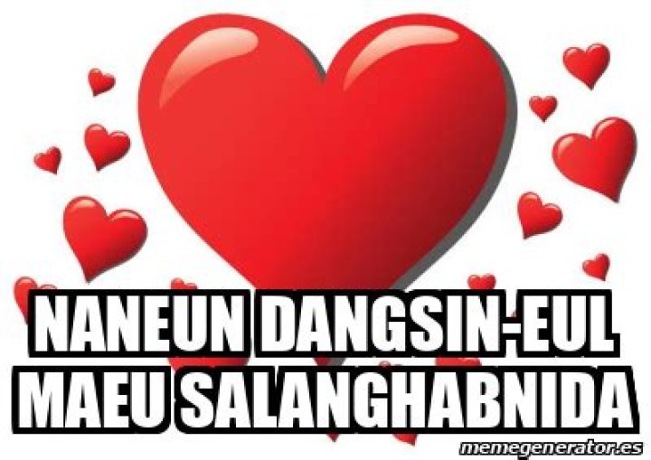 What is the meaning of Naneun Dangsin Eul Salanghabnida?