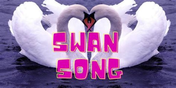 What is the meaning of the phrase swan song?