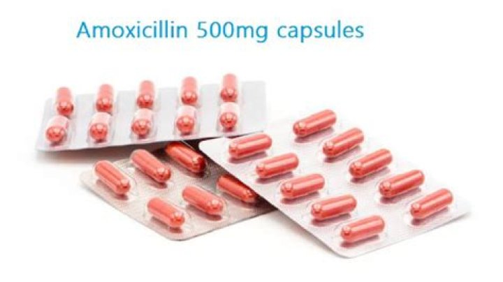 What is the normal daily dose of 500mg amoxicillin capsules?