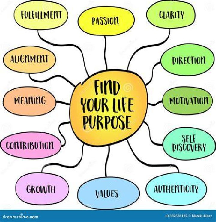 What is the purpose driven your life?