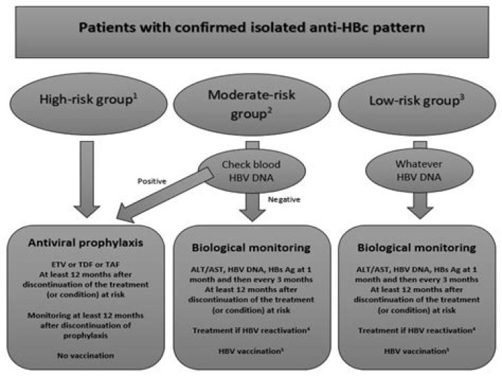 What is the treatment of anti HBc positive?