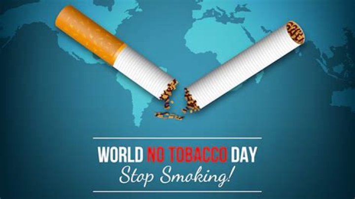What is tobacco Free Futures?