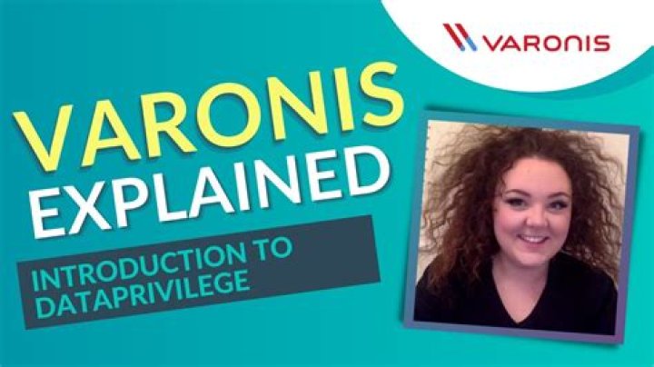 What is varonis DataPrivilege?