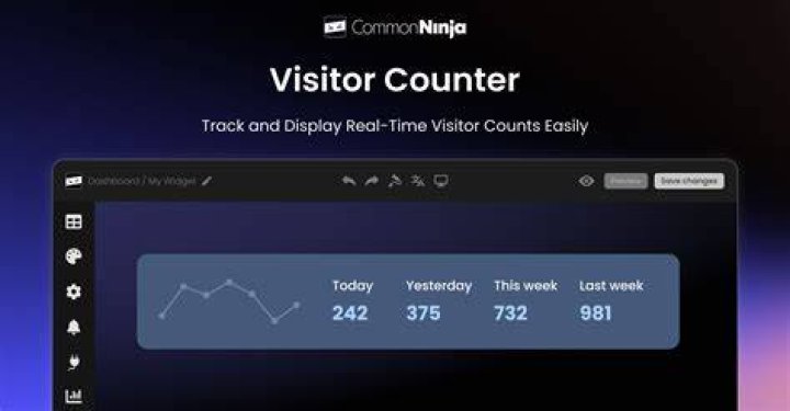 What is visitor counter?