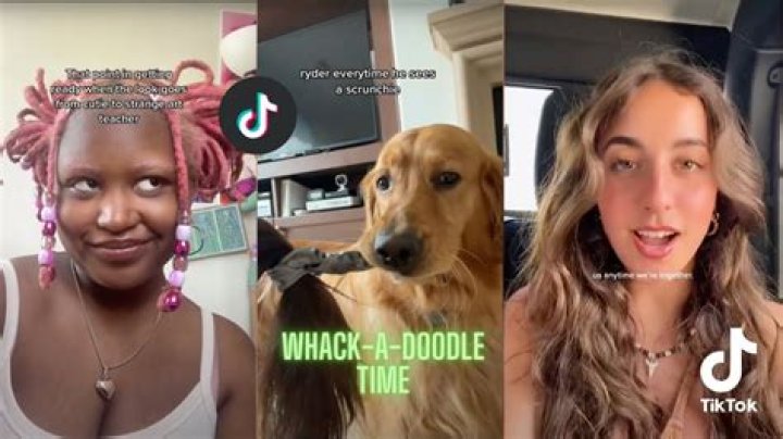 What is whack a doodle?