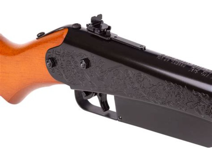 What kind of oil do you put in a Daisy BB gun?